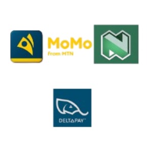 Payment & Financial Partners | Skyfly.mobi